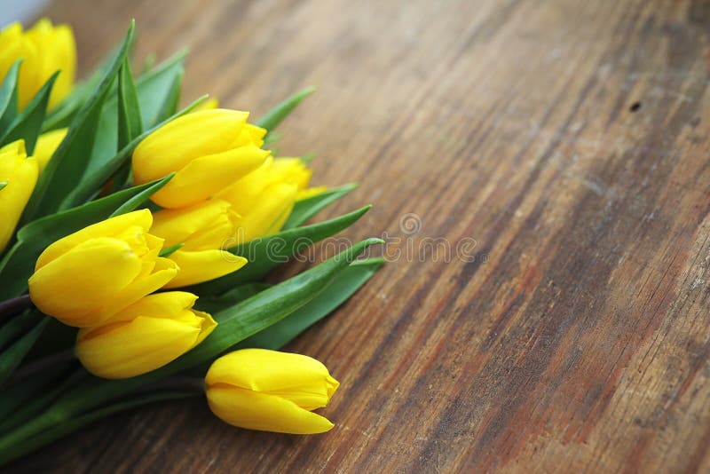 Een boeket van gele tulpen in een vaas op de vloer Een gift aan w royalty-vrije stock foto's Een boeket van gele tulpen in een vaas op de vloer Een gift aan w royalty-vrije stock foto's