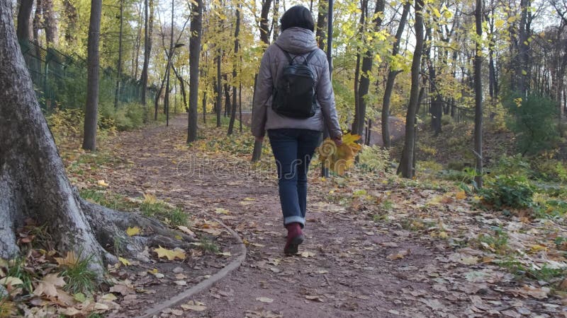 Een brunette in een bruin jasje loopt met een hond in het park op een zonnige dag in de herfst en klimt de weg naar de brug