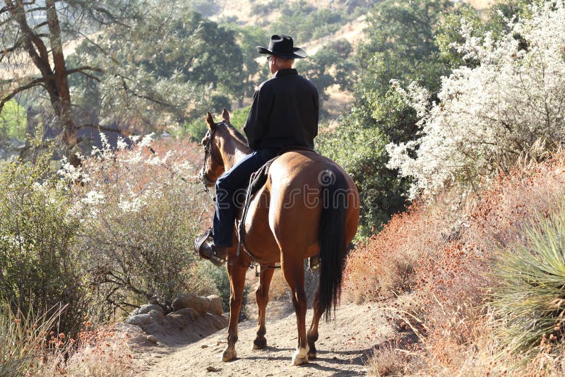 Een cowboy in de zon met installaties. stock foto Een cowboy in de zon met installaties. stock foto