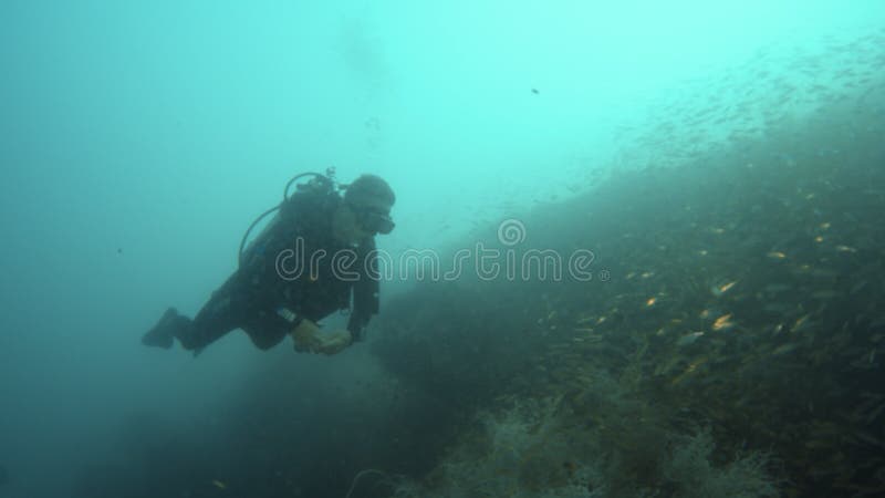 Een duiker die diep naar een gedaald schip gaan