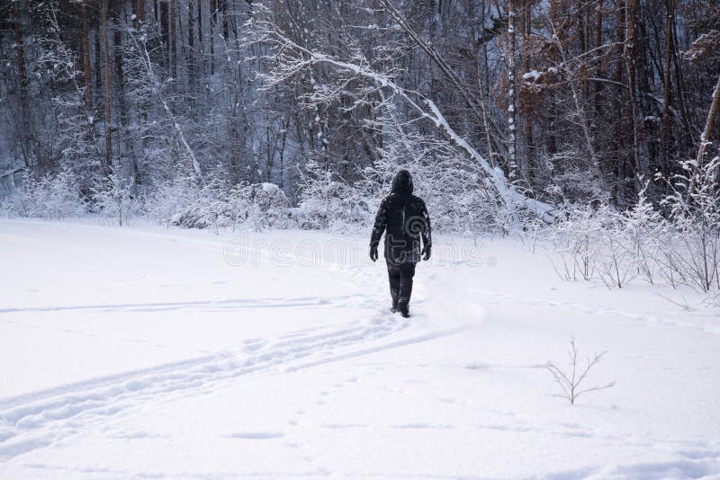 Een eenzame mens loopt in de sneeuw Dramatisch silhouet van een mens die in een sneeuwopheldering in het bos koud lopen stock foto's Een eenzame mens loopt in de sneeuw Dramatisch silhouet van een mens die in een sneeuwopheldering in het bos koud lopen stock foto's