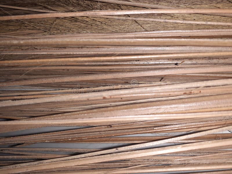 Een gouden bamboombezemsteel stock foto Een gouden bamboombezemsteel stock foto