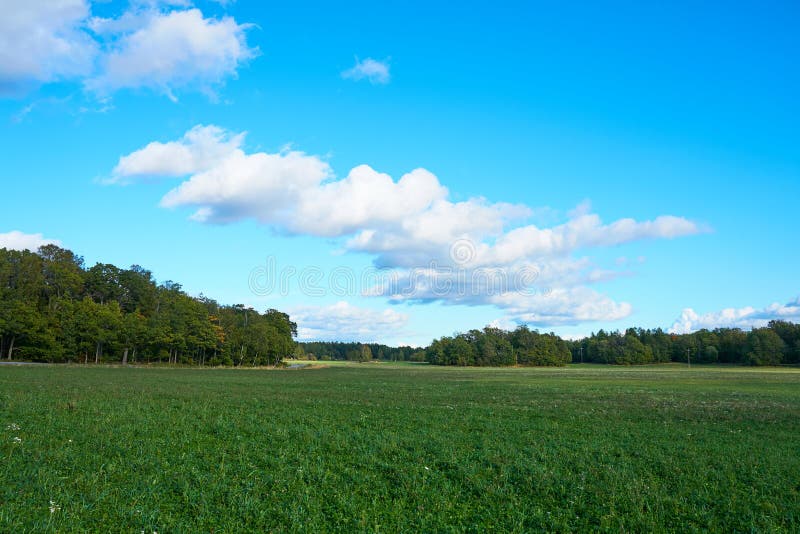 Een groen gebied onder een blauwe hemel met wolken stock afbeelding Een groen gebied onder een blauwe hemel met wolken stock afbeelding