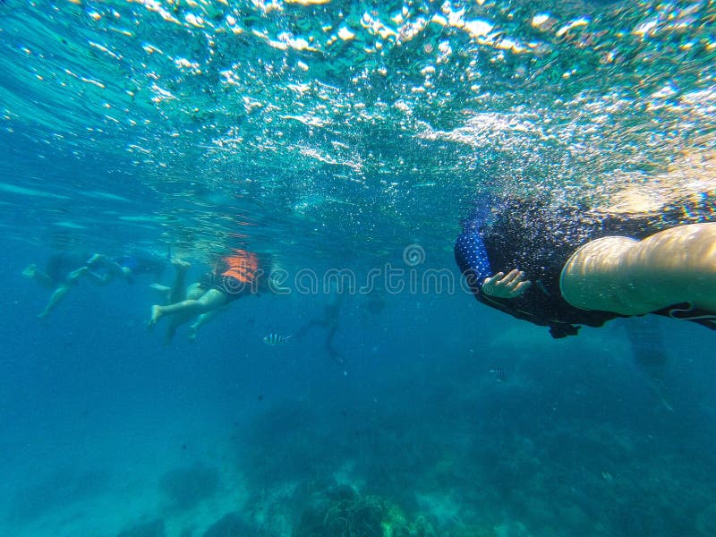 Een groep toeristen die bij het blauwe zeewater snorkelen stock afbeeldingen Een groep toeristen die bij het blauwe zeewater snorkelen stock afbeeldingen