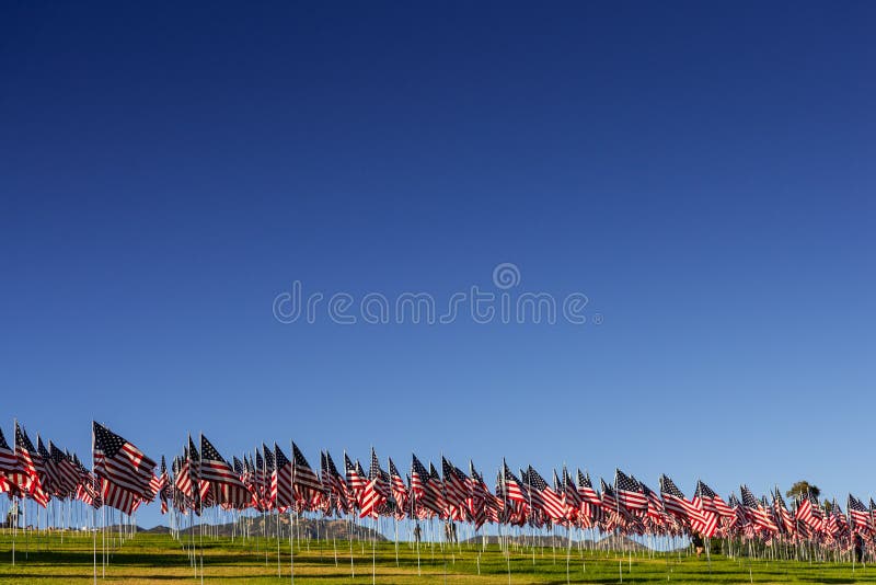 Een grote groep Amerikaanse vlaggen Veteranen of Herdenkingsdagvertoning