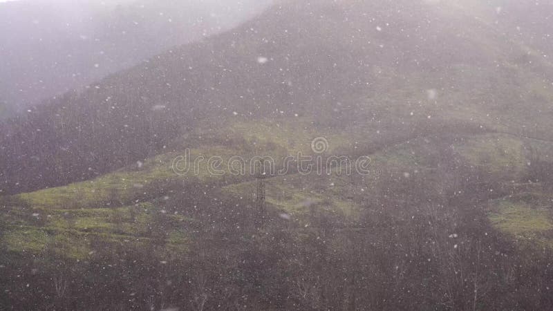 Een grote sneeuwstorm blaast in de wind Het sneeuwt in de de herfstavond tegen de achtergrond van bos4k