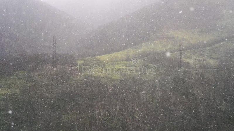 Een grote sneeuwstorm blaast in de wind Het sneeuwt in de de herfstavond tegen de achtergrond van het langzame bos