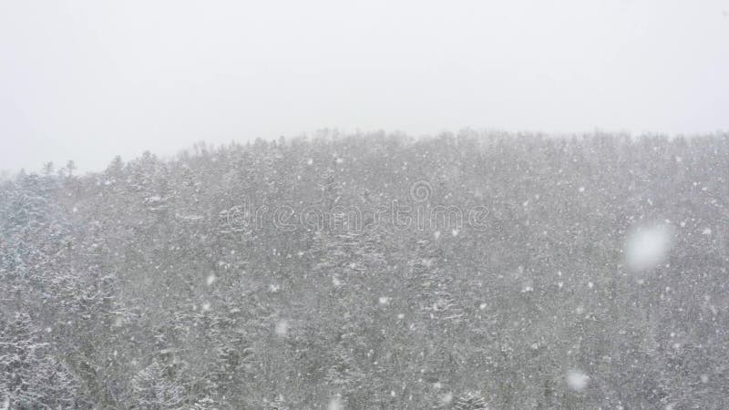 Een grote sneeuwstorm blaast in de wind Het sneeuwt in de de herfstavond tegen de achtergrond van het langzame bos