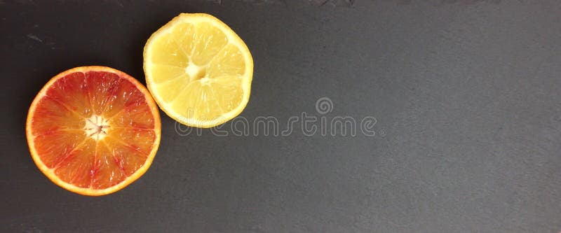Een hand van het elengat nog-leven die met gekleurde potloden wordt getrokken stock afbeelding Een hand van het elengat nog-leven die met gekleurde potloden wordt getrokken stock afbeelding