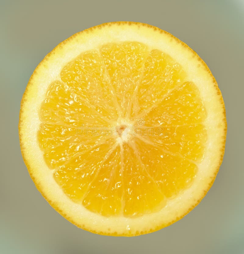 Een helder, rijp, sappig oranje fruit, dat enkel uit zijn boom wordt genomen Een smakelijk en gezond hert stock foto's Een helder, rijp, sappig oranje fruit, dat enkel uit zijn boom wordt genomen Een smakelijk en gezond hert stock foto's