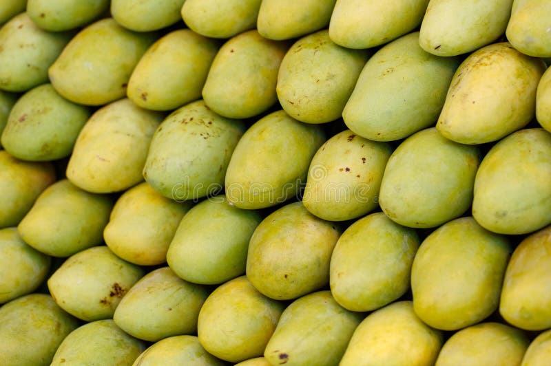 Een hoop groene mango's stock afbeeldingen