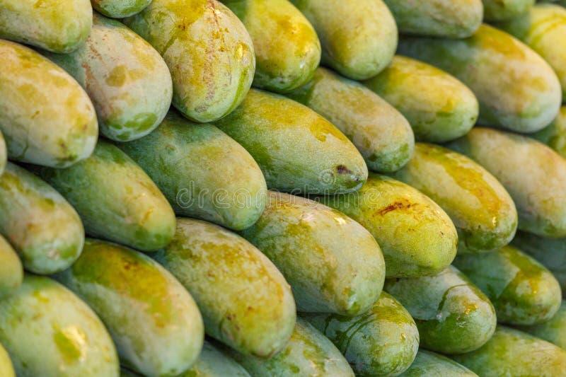 Een hoop groene mango's stock foto