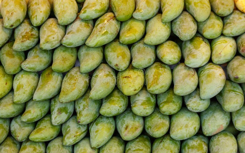 Een hoop groene mango's ligt op elkaar gestapeld stock fotografie