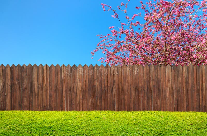 Een houten tuinomheining bij binnenplaats en bloeiboom stock illustratie Een houten tuinomheining bij binnenplaats en bloeiboom stock illustratie