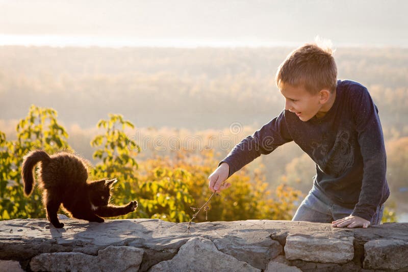 Een kind speelt met een katje Pretfoto Communicatie met dieren Blije jongen De herfst heldere dag Mooi landschap in royalty-vrije stock foto's Een kind speelt met een katje Pretfoto Communicatie met dieren Blije jongen De herfst heldere dag Mooi landschap in royalty-vrije stock foto's