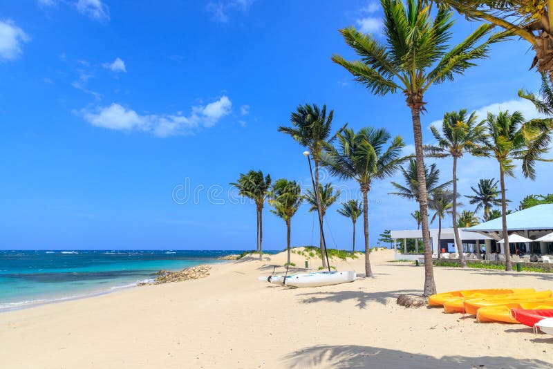 Een kleine catamaran ligt op het strand onder palmen in de Caraïben Dominicaanse Republiek royalty-vrije stock afbeelding Een kleine catamaran ligt op het strand onder palmen in de Caraïben Dominicaanse Republiek royalty-vrije stock afbeelding
