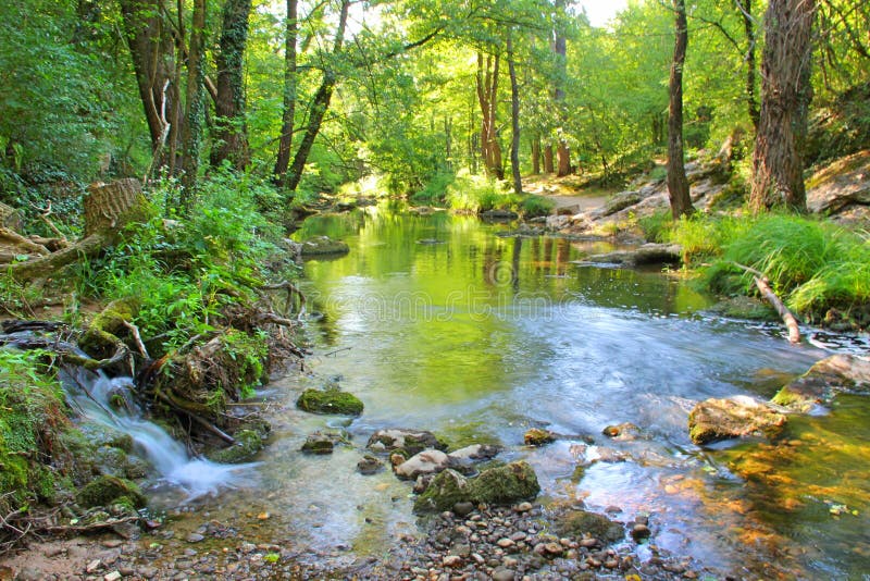 Een kleine waterval die in een rivier in een bos stromen stock afbeelding Een kleine waterval die in een rivier in een bos stromen stock afbeelding