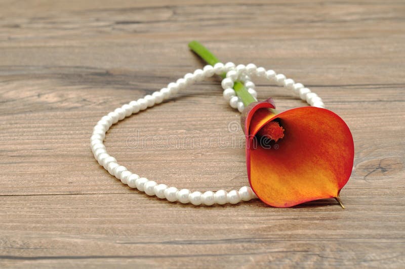 Een koord van parels met een gele aronskelk lilly stock foto's Een koord van parels met een gele aronskelk lilly stock foto's