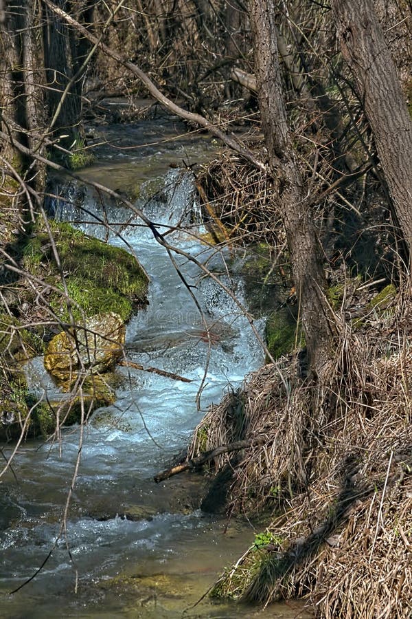 Een kreek die tussen bomen druppelen royalty-vrije stock fotografie Een kreek die tussen bomen druppelen royalty-vrije stock fotografie