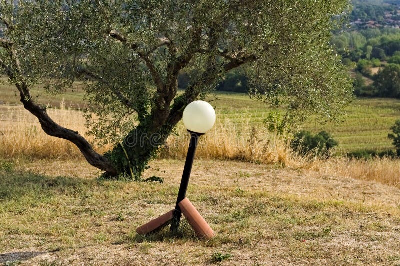 A crooked street lamp in the garden Umbria, Italy, Europe. A crooked street lamp in the garden Umbria, Italy, Europe