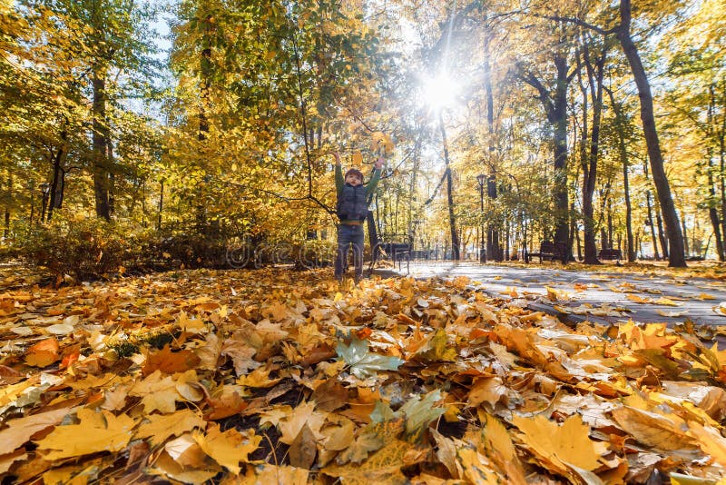 Een leuke kleine jongen die pret in het park in de herfst hebben stock afbeeldingen Een leuke kleine jongen die pret in het park in de herfst hebben stock afbeeldingen