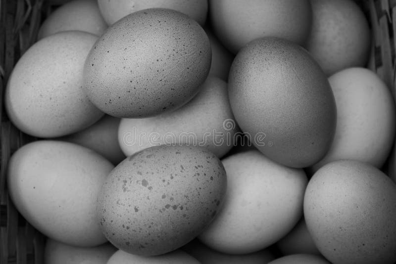 Een mandje met kippeëieren in zwart-wit. royalty-vrije stock fotografie