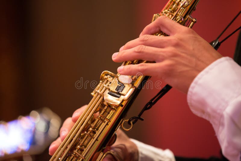 Een mens het spelen instrument met uitdrukking. royalty-vrije stock afbeelding Een mens het spelen instrument met uitdrukking. royalty-vrije stock afbeelding