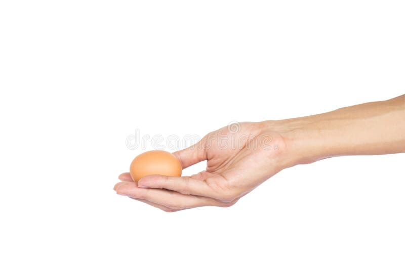 Een mensenhand die ruw die kippenei houden op witte achtergrond met het knippen van weg wordt geïsoleerd stock afbeeldingen Een mensenhand die ruw die kippenei houden op witte achtergrond met het knippen van weg wordt geïsoleerd stock afbeeldingen