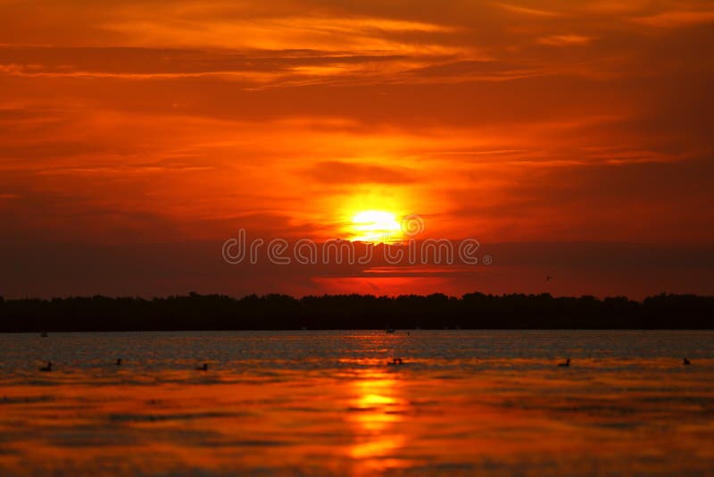 Een mooie zonsopgang op een meer in de Delta van Donau royalty-vrije stock afbeelding Een mooie zonsopgang op een meer in de Delta van Donau royalty-vrije stock afbeelding
