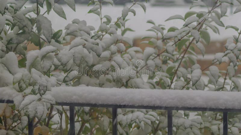 Een naadloze sneeuwval die zich tijdens een sneeuwstorm op een leuning ophoopt