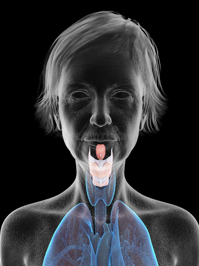 De stemband van een oudere vrouw vector illustratie
