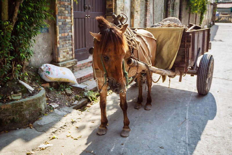 Een paard en een vervoer wachten op passagiers royalty-vrije stock fotografie Een paard en een vervoer wachten op passagiers royalty-vrije stock fotografie