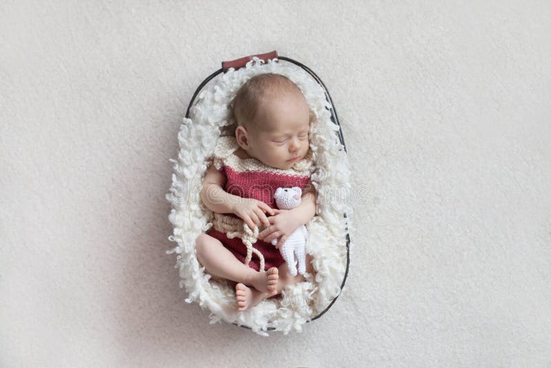 Een pasgeboren babyslaap in een mand in een roze lichaam met een klein stuk speelgoed stock afbeelding Een pasgeboren babyslaap in een mand in een roze lichaam met een klein stuk speelgoed stock afbeelding