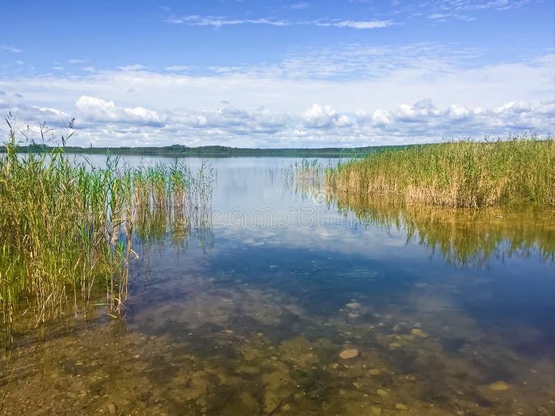 Een rivier die in Eerste Mustus-Meer in Saskatchewan stromen stock afbeelding Een rivier die in Eerste Mustus-Meer in Saskatchewan stromen stock afbeelding