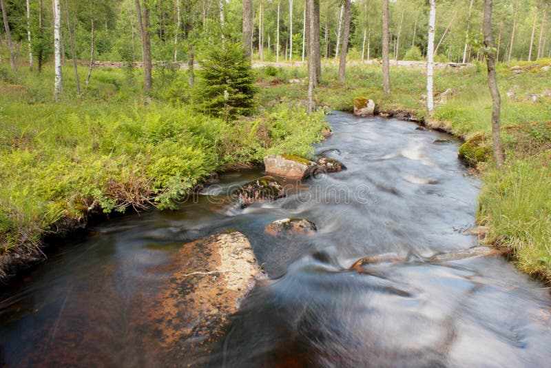 Een rivier in de Zweedse bossen royalty-vrije stock fotografie