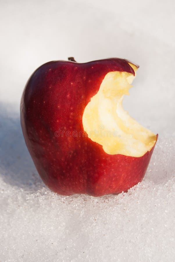 Een rode die appel en op de sneeuw wordt gebeten royalty-vrije stock afbeeldingen Een rode die appel en op de sneeuw wordt gebeten royalty-vrije stock afbeeldingen