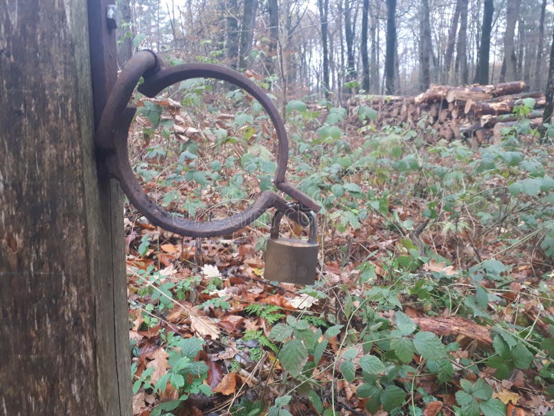 Een roestige ijzerring met slot stock afbeeldingen Een roestige ijzerring met slot stock afbeeldingen