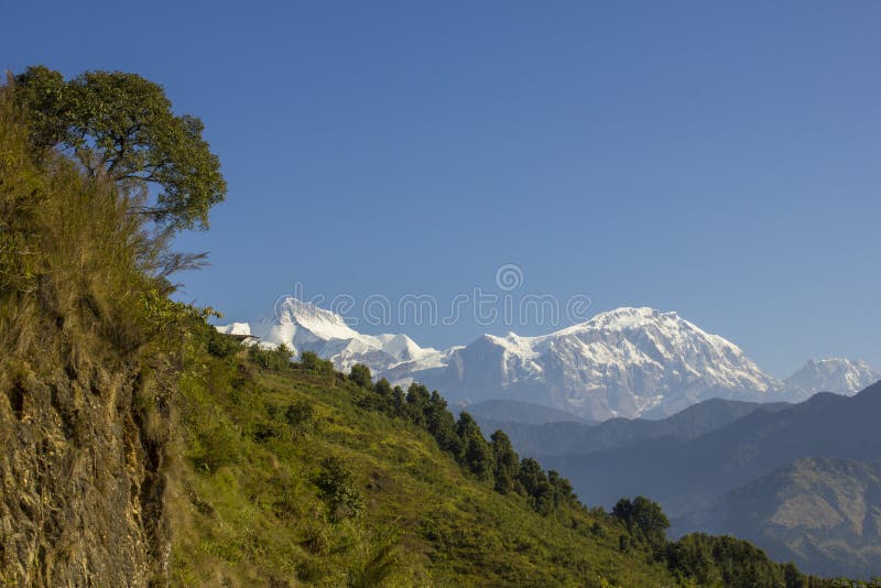 Een rots en een groene helling met een boom tegen een schone blauwe hemel en bergen met sneeuwpieken Annapurna Nepal stock fotografie Een rots en een groene helling met een boom tegen een schone blauwe hemel en bergen met sneeuwpieken Annapurna Nepal stock fotografie