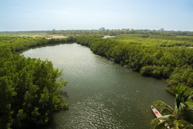 Een schatplichtige van de Rivier Gambia dichtbij Makasutu-Bos in Gambia, stock afbeelding Een schatplichtige van de Rivier Gambia dichtbij Makasutu-Bos in Gambia, stock afbeelding