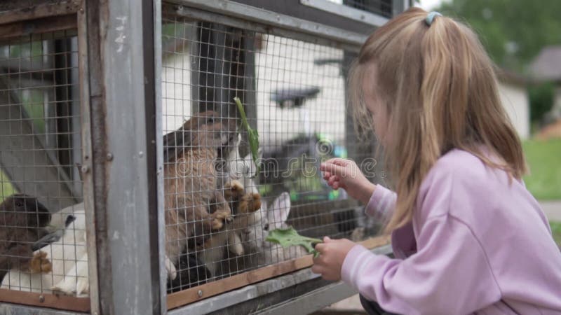 Een schattig meisje voedt konijnen met een kooi in de dierentuin