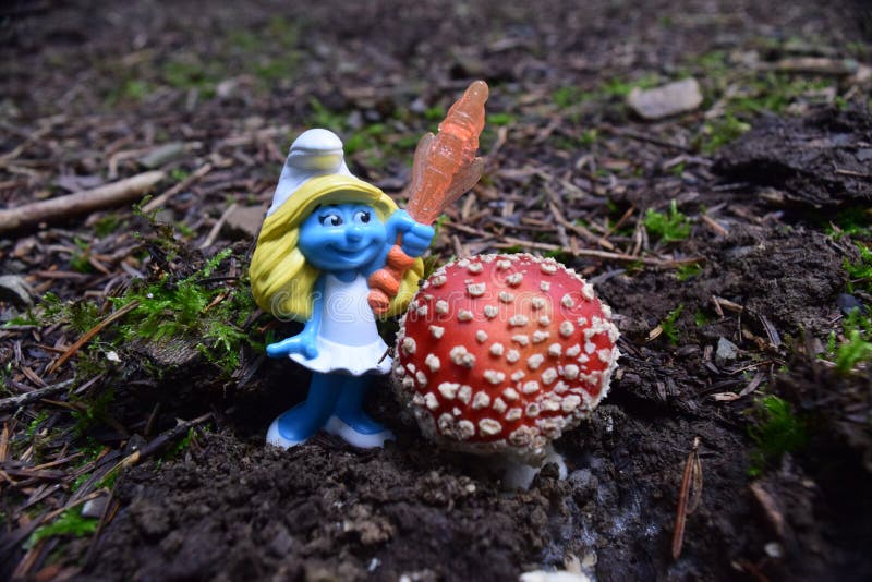 Een smurf naast Amanietmuscaria, als de vliegplaatzwam die algemeen wordt bekend royalty-vrije stock afbeeldingen Een smurf naast Amanietmuscaria, als de vliegplaatzwam die algemeen wordt bekend royalty-vrije stock afbeeldingen