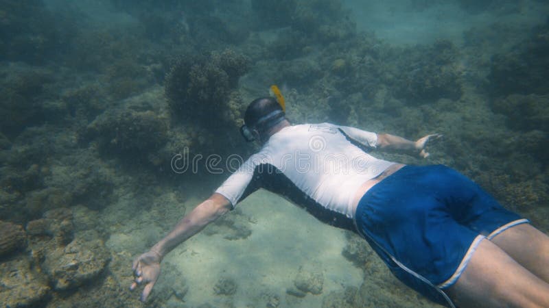 Een snorkeler zwemt over de oceaanbodem