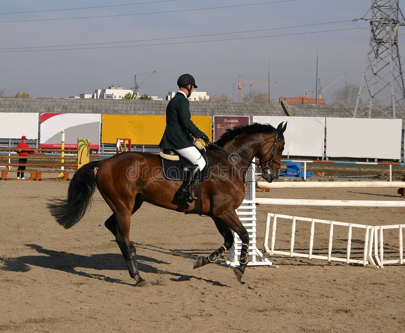 Download Een Sportman Wordt Klaar Voor Concourt Stock Foto - Afbeelding bestaande uit manen, sport: 276102