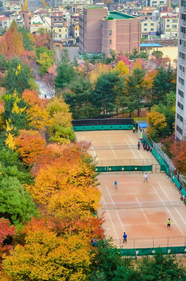 Een stadstennisrechtbank omringd door bomen in herfstkleuren bovenaanzicht zuid - korea Een stadstennisrechtbank omringd door bomen in herfstkleuren bovenaanzicht zuid - korea