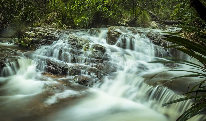 A dreamy stream in Springbrook National Park, Queensland, Australia shot with a long exposure. A dreamy stream in Springbrook National Park, Queensland, Australia shot with a long exposure