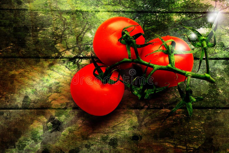 Een tak van rijpe tomaten ligt op houten gevormde oppervlakte royalty-vrije stock afbeelding Een tak van rijpe tomaten ligt op houten gevormde oppervlakte royalty-vrije stock afbeelding