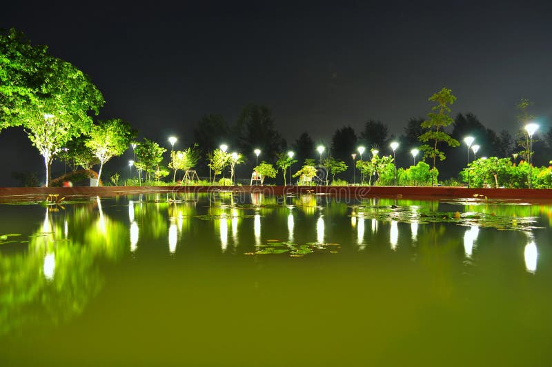 Een vijver die door bomen bij nacht wordt omringd stock foto Een vijver die door bomen bij nacht wordt omringd stock foto