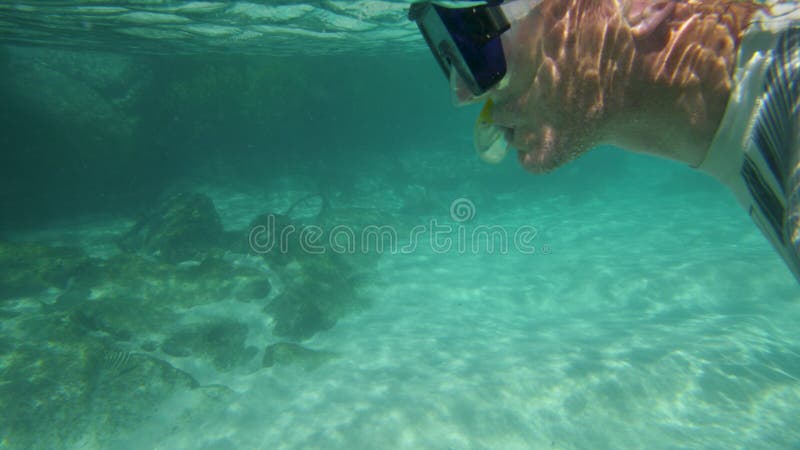 Een vrije snorkeler zwemt het turkooise overzees