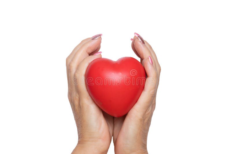 Een vrouw houdt een rood symbolisch hart in haar palmen Close-up op een witte achtergrond wordt geïsoleerd die Concept het geven, stock fotografie Een vrouw houdt een rood symbolisch hart in haar palmen Close-up op een witte achtergrond wordt geïsoleerd die Concept het geven, stock fotografie