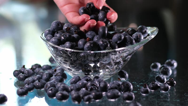 Een vrouw plukt grote verse blauwe bessen met haar hand die ze op tafel spreidt in een glasplaat die de kwaliteit van